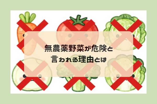 無農薬野菜が危険と言われる理由とは
